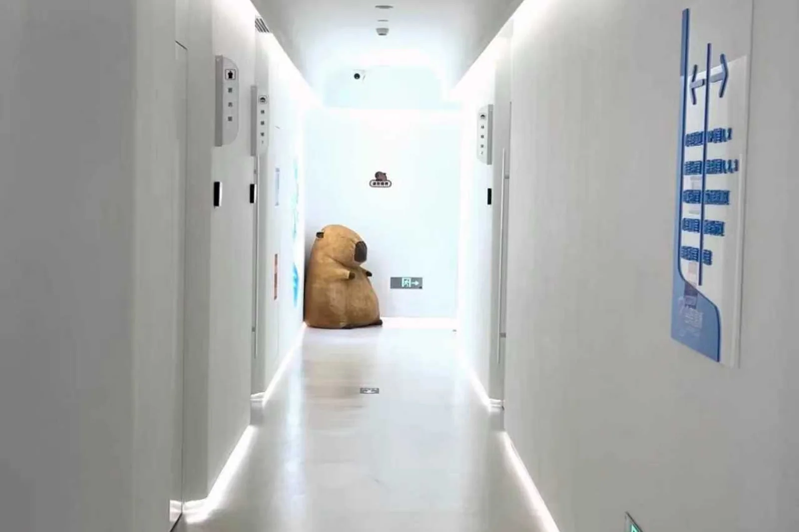 北京合嘉诊所院内走廊